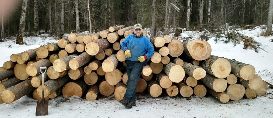 larry beyer log stack